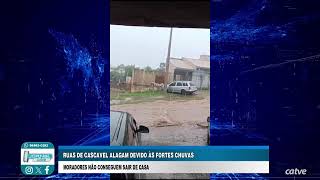 Jornal da Catve - 11/10/2024