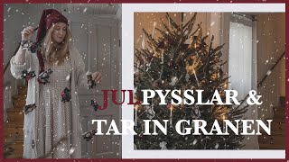 Julpysslar & tar in granen! 🎄✂️