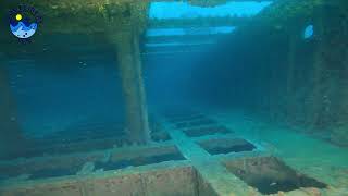 The Lina Wreck - Immersione sul Piroscafo Lina in Croazia