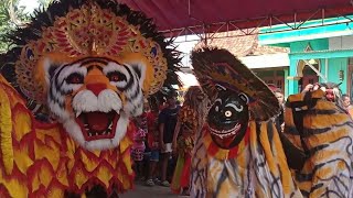 BARONGAN GANAS KELUAR  KANDANG..!! BARONGAN WAHYU AJI JOYO LIVE WERDOYO DEMAK