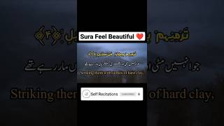 Surah Al Feel | #shorts #viral #nocopyright