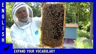 Beekeeper | Expand your VOCABULARY