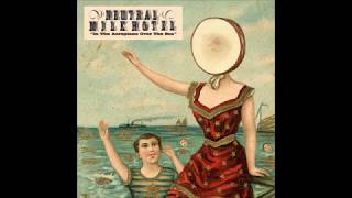 Neutral Milk Hotel - In the Aeroplane Over the Sea