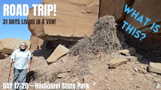 Homolovi State Park "Place of the Little Hills" | Places to camp in Arizona