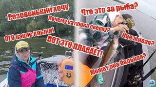 Рыбалка с жёнами! Отдых с палатками на реке Ока