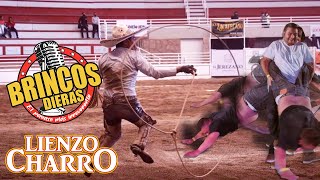 SALTILLO LIENZO CHARRO