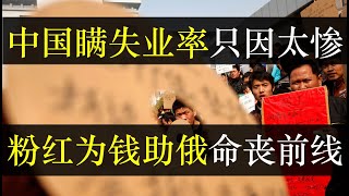 中国瞒失业率只因太惨，粉红为钱命丧鹅手。精忠报国是一纸空文还是确有其事，安徽一粉红信了中鹅友好，报国殒命，连姓名都没留。中国经济寒冬政府雪上加霜，重拳出击整顿游戏，赔了（单口相声嘚啵嘚之中国失业率 ）