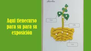 Trabajo de Investigación de la Germinación