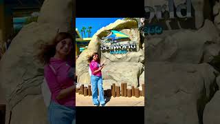 Sea world San diego | Fun | Day off at San diego | California | USA | Namrata Joshi