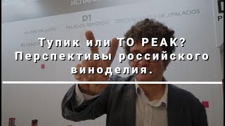 Судьба российского виноделия | Тупик или To Peak? | Мнение ключевых персон