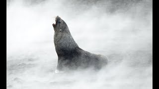 15 Pictures of Antarctica: 15 Beautiful Pictures of Antarctica That Will Blow You Away August 2018