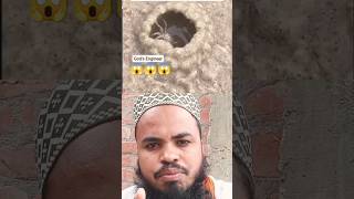 दुनिया का सबसे छोटा engineer 😱🤔🥱 #islamicvideo #allahuakbar #kudrat #mashallah #shorts #viralvideo