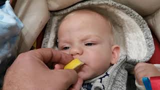 Baby tastes lemon wedge for the first time