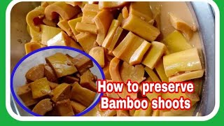 How to cook and preserve Bamboo Shoots/Taiwanese recipe