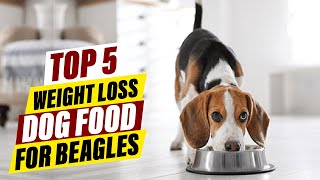 Beagle Weight Loss Journey: The Ultimate Food Guide