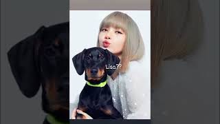 which blackpink members looks the best with dog?!@|#rose #lisa #jisoo #jennie #blackpink #shorts