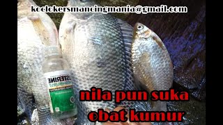 tester mancing di campur obat kumur di suka babon ikan nila