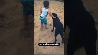 कोई साथ निभाना इनसे सीखे 🫰//Please subscribe my channel 🙏//#viral short #video #reels #shorts #viral