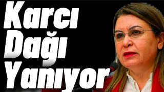 Karaca : Karcı Dağı Yanıyor Yetkililer Bakıyor