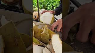 Red coconut fruit cutting skills. #shorts #satisfying #viralvideo #coconut #short #fresh