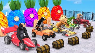 Choose The Right Vehicle With Elephant Mammoth Cow Dinosaur Choose The Right Door Wild Animals games