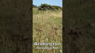 Bridlington - The Coastal Path #seaside