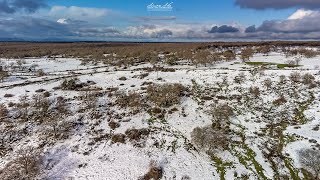 Neve a Bolotana (Sardegna) aerial drone