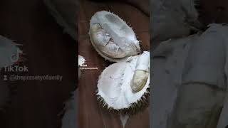 Unboxing durian bogor #makan #durian #duren #bogor #enak #manispahit #wangi #buah #sehat #unboxing