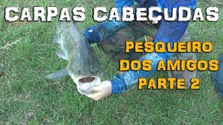 CARPAS CABEÇUDAS - PESQUEIRO DOS AMIGOS - PARTE 2