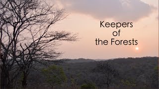 Keepers of the Forest