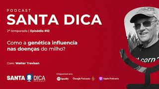 Como a genética influencia nas doenças do milho? | Santa Dica Temp. 2 Ep.12