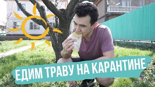 ЕДИМ ТРАВУ НА КАРАНТИНЕ. УЙГУРСКИЕ ЧЕБУРЕКИ - 12