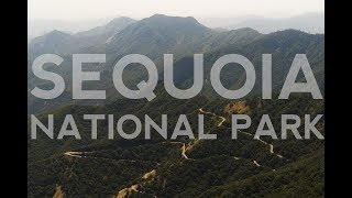 Sequoia National Park in 4K