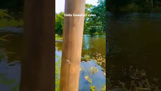 Hello Guwahati video