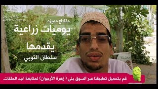 طريقة تهيئة الأرض قبل زراعة الشتلات