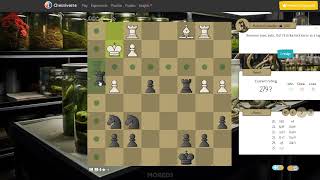 Playing Against Maltilda Bushwalker Bot! (Chessiverse) #chess #2024 #bot