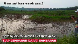 Nekat Mancing..!! casting gabus sore hari di spot penuh kayu saat air surut ikan nya semakin ganas