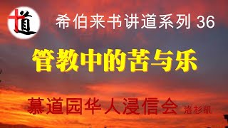 管教中的苦与乐#来12:4-11#希伯来书讲道系列 36#改革宗 #基督 #福音 #恩典 #律法 #救赎 #爱#儿子#圣洁#平安