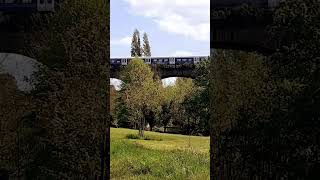 Brent valley park London uk #shorts #road #uk #trainvideo