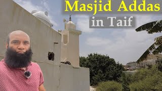 Masjid Addas ziyarat in Taif at Wadi Waj ||Saudi Arabia🇸🇦 ||Complete story of Prophet(SAW) journey