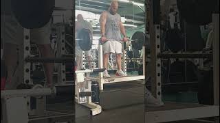 275lb barbell rows