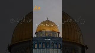 سورة النصر بصوت القارئ ماهر المعيقلي #حالات واتس  #quran #shorts