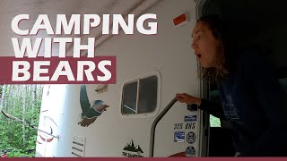 Camping With Bears at Wellman Lake Campground | RV Living Travel Vlog