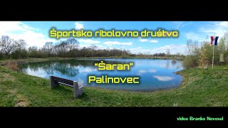 Športsko ribolovno društvo "Šaran" Palinovec