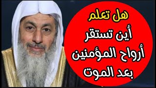 شاهد أين تذهب أرواح المؤمنين بعد خروجها من الجسد الشيخ مصطفى العدوي