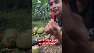 Nasi liwet kelapa muda rasa permen #part2 #kawanlaladog #liwet #kelapamuda #alam #sibolang