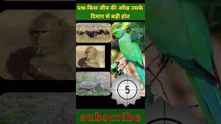 किस [🦢🕊🐒🐿🐍🐢🐟] जीव की आँख उसके दिमाग[🧠] से बड़ी होती हे?#shorts #youtubeshorts #youtube #gk facts