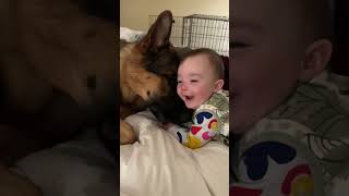 The most adorable dog and baby video you'll ever see ❤️ #shorts #shortsvideo #shortsfeed