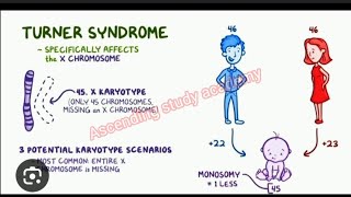 Chromosomal abnormalities :Numerical aberrations BSc 1 semester