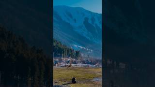 #kashmir #beauty #amazing #travel #views #beautiful #shorts #viralshorts #shortsviral #viralshort